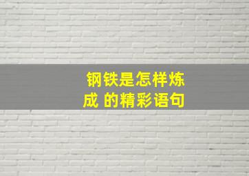 钢铁是怎样炼成 的精彩语句